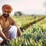 MSP Hike government increase the MSP of 6 crops know how much benefit farmers will get PM Narendra Modi MSP: किस फसल पर सरकार ने कितनी बढ़ाई MSP, जानें अब किसानों को कितना होगा फायदा?