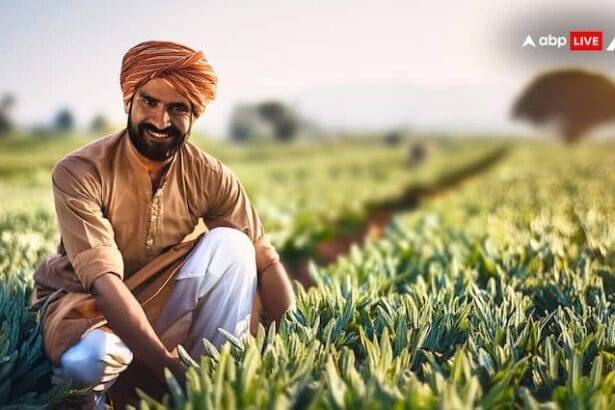 MSP Hike government increase the MSP of 6 crops know how much benefit farmers will get PM Narendra Modi MSP: किस फसल पर सरकार ने कितनी बढ़ाई MSP, जानें अब किसानों को कितना होगा फायदा?