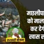 Matsya Sampada Yojana will give more profits at less cost, watch video to know details