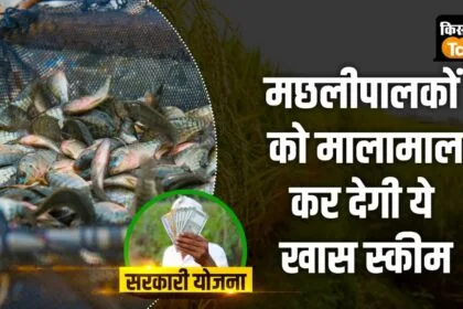 Matsya Sampada Yojana will give more profits at less cost, watch video to know details