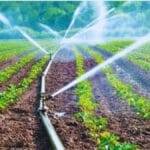 झारखंड में खेतों तक पहुंचेगा सिंचाई का पानी. (सांकेतिक फोटो)