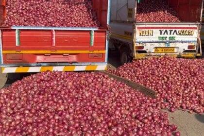 प्याज की कीमतों पर जल्द लगेगा लगाम. (सांकेतिक फोटो)