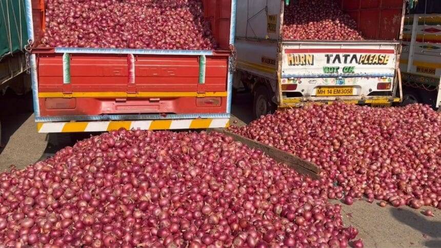 प्याज की कीमतों पर जल्द लगेगा लगाम. (सांकेतिक फोटो)