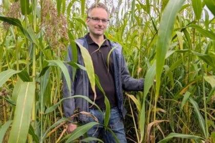 पीईआई अनुसंधान कीट और रोग चक्र को तोड़ने में मदद करने के लिए नए प्रकार की कवर फसल पर ध्यान केंद्रित करता है