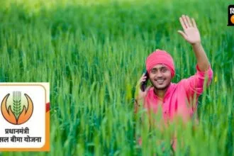रबी फसलों का फसल बीमा कराने की सलाह किसानों को दी गई है.