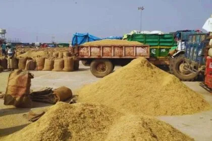 धान और बाजरा की खरीद