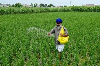 पंजाब और हरियाणा को पारिस्थितिक आपदा से बचाना