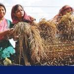 चावल आयात शुल्क हटाएं: टैरिफ कमीशन