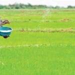 कृषि को पुनर्जीवित करना: एनपीपी कृषि नीति की व्यापक समीक्षा