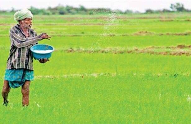 कृषि को पुनर्जीवित करना: एनपीपी कृषि नीति की व्यापक समीक्षा