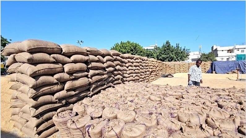 पंजाब में धान खरीद में हो रही है देरी. (सांकेतिक तस्वीर)