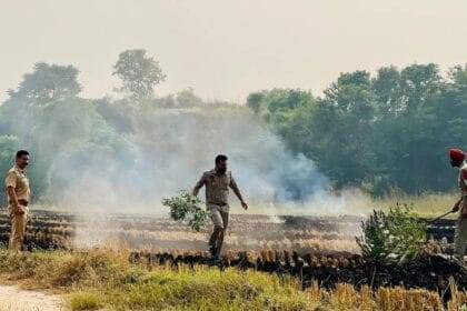 पंजाब में पराली जलाने की घटनाएं अधिक