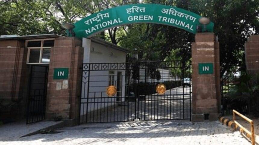 National Green Tribunal, NGT notice, Ministry of forest ministry, Delhi southern Ridge encroachment, Indian express news