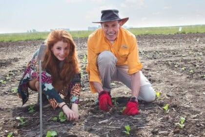 सोयाबीन डोमेस्टिका में मेसोफिल चालन दोगुना हो जाता है