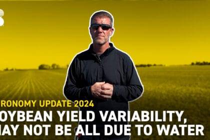 सोयाबीन की उपज में परिवर्तनशीलता, सब कुछ पानी के कारण नहीं हो सकता - ओहियो एजी नेट
