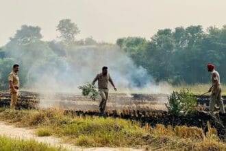 पंजाब में बढ़ी पराली जलाने की घटनाएं