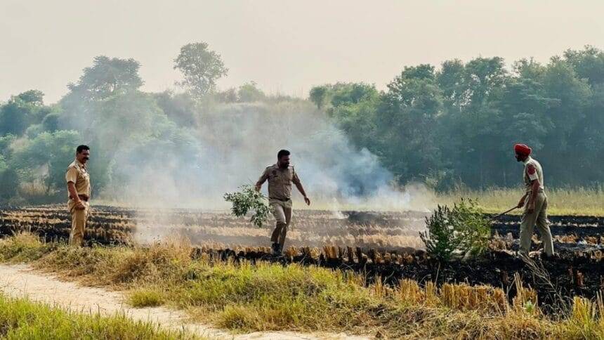 पंजाब में बढ़ी पराली जलाने की घटनाएं