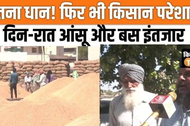 There is a pile of paddy in the markets of Punjab, no one is ready to buy