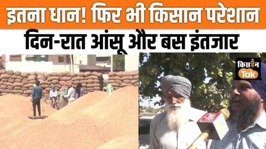 There is a pile of paddy in the markets of Punjab, no one is ready to buy