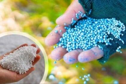 पंजाब में DAP की नहीं होगी कोई कमी. (सांकेतिक फोटो)