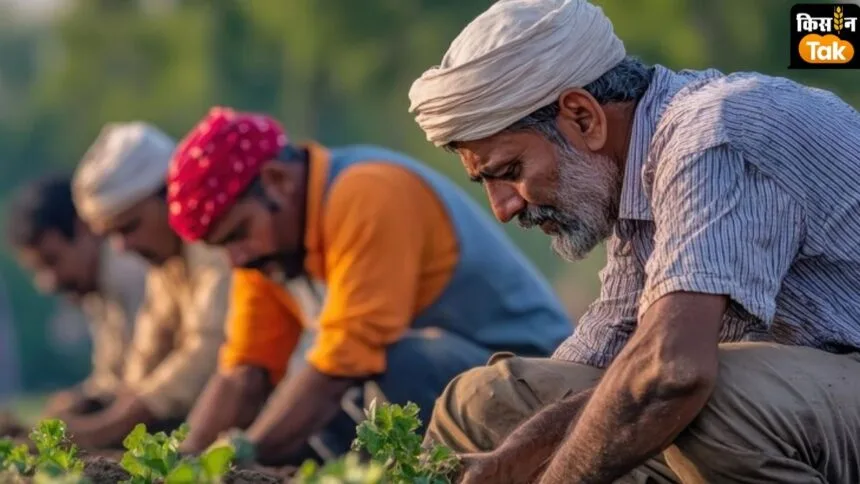 पीएम किसान योजना. (सांकेतिक फोटो)