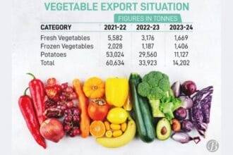 दो साल में सब्जियों के निर्यात में 77% की गिरावट