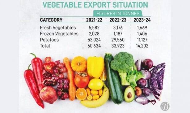दो साल में सब्जियों के निर्यात में 77% की गिरावट
