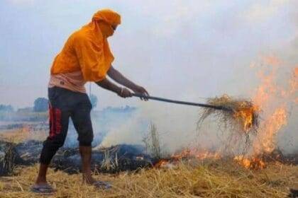 द‍िल्ली के प्रदूषण में पराली का बहुत कम योगदान है.