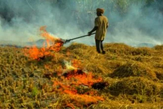 हरियाणा में पराली जलाने के मामले बढ़े. (सांकेतिक फोटो)