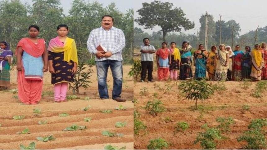 जैविक खेती के काम सीखकर कमाई करेंगी यूपी की ग्रामीण महिलाएं (सांकेतिक फोटो)