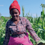 युवाओं को टिकाऊ कृषि तकनीकें मिलती हैं