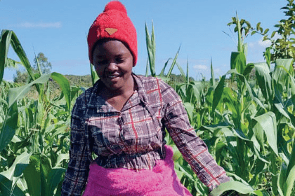 युवाओं को टिकाऊ कृषि तकनीकें मिलती हैं