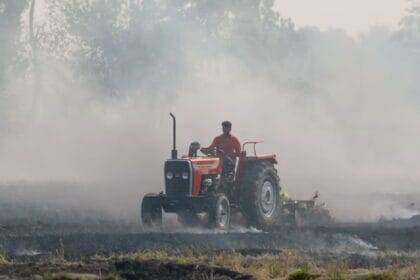 बीते साल के कुल आंकड़ों की तुलना करें तो पराली जलाने की घटनाएं 26 फीसदी कम हो गई हैं.