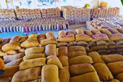 करनाल में 4 हजार क्विंटल धान गायब (सांकेतिक तस्वीर)