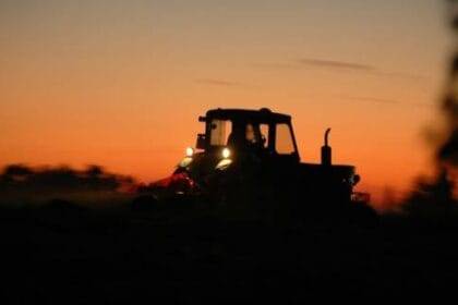 एआई और कीट प्रबंधन: स्मार्ट प्रौद्योगिकी के साथ उपज की रक्षा करना