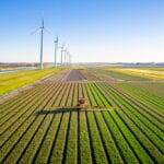 Agricultural crops sprayer in a field of tulips during springtime seen from above