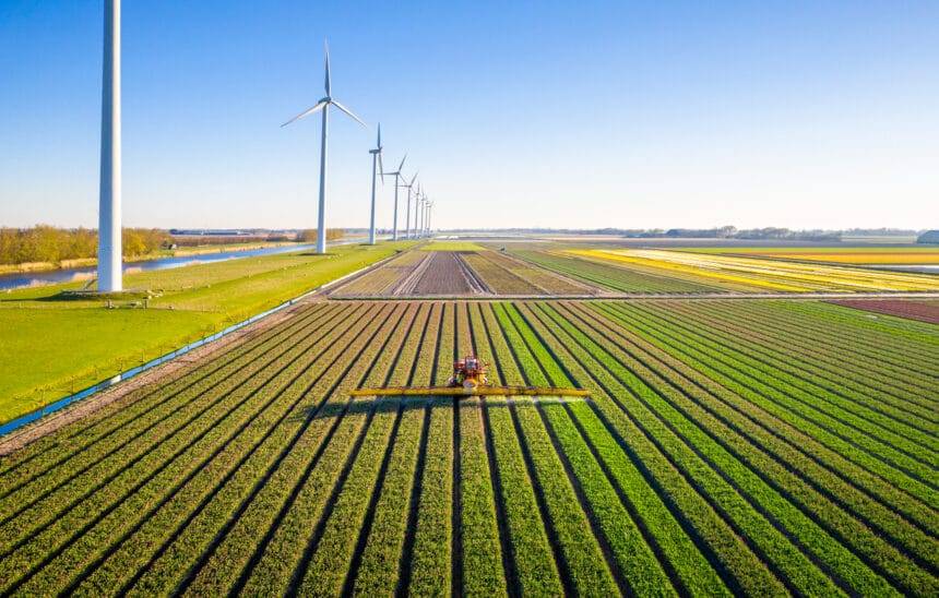 Agricultural crops sprayer in a field of tulips during springtime seen from above