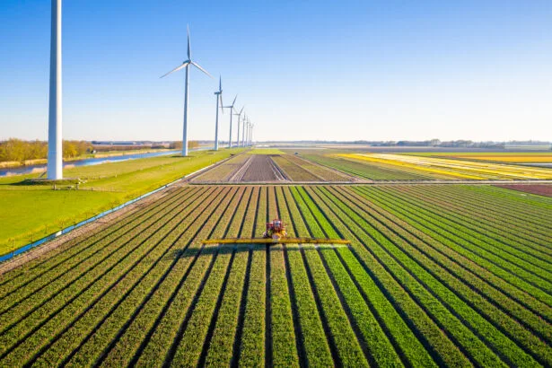 Agricultural crops sprayer in a field of tulips during springtime seen from above