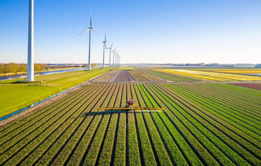 Agricultural crops sprayer in a field of tulips during springtime seen from above