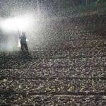 अल्जीरिया की अर्थव्यवस्था में कृषि को प्रमुखता मिली है