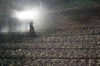 अल्जीरिया की अर्थव्यवस्था में कृषि को प्रमुखता मिली है