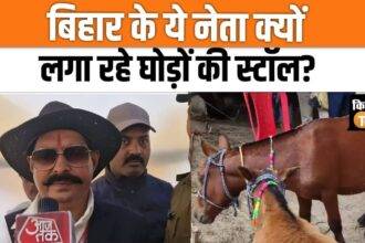 Anant Singh reached Bihar's Sonpur fair with horses, watch video