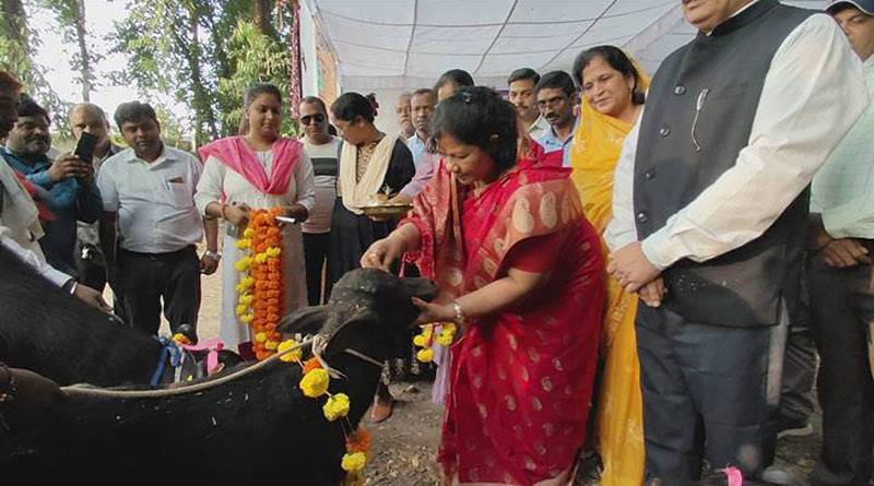 पशुपालक दुग्ध उत्पादन से अपनी आय बढ़ा सकते हैं- मंत्री संपतिया उइके