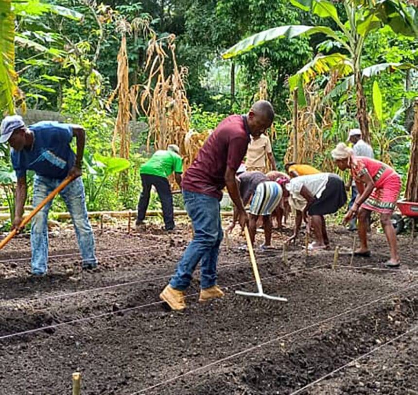 वापस देना: एरिया पैरिश हैती में कृषि-कार्यक्रमों का समर्थन करता है, एक उज्जवल भविष्य का निर्माण करता है