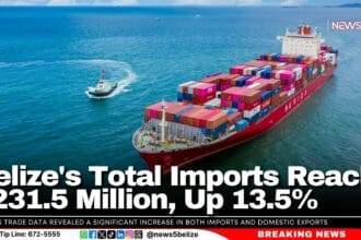 Belize's Total Imports Reach $231.5 Million, Up 13.5%