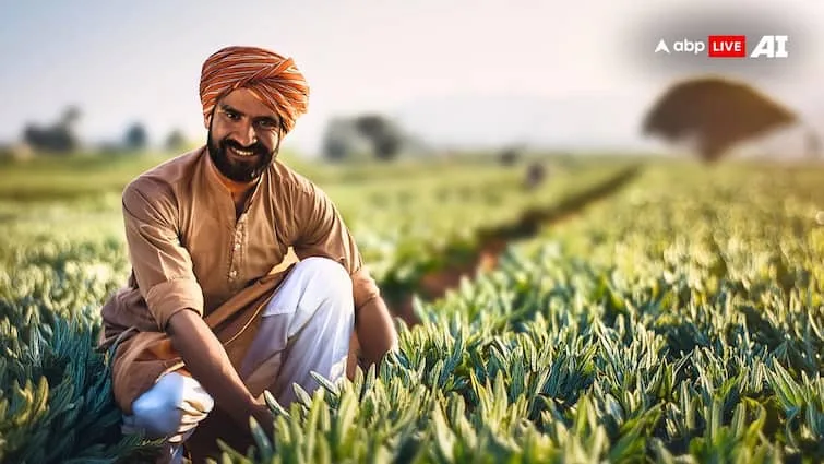 Bihar Farmers become rich by cultivating these vegetables government giving subsidy ऊंचे दामों की सब्जियों की खेती से धनवान होंगे बिहार के किसान, सरकार दे रही इतनी सब्सिडी