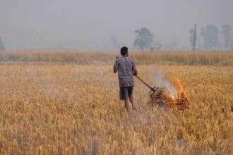 पराली जलाने पर दोगुना देना होगा जुर्माना