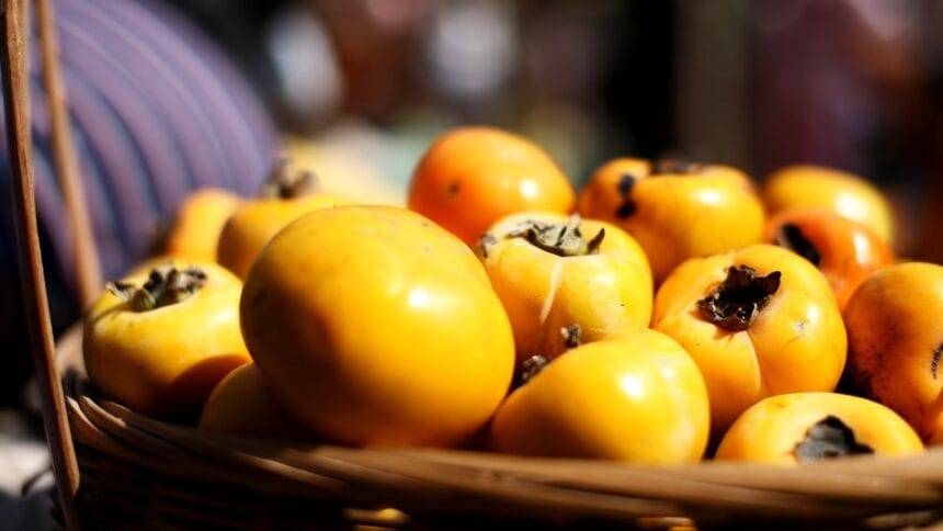 चीन की नई ख़ुरमा किस्म वियतनाम में लोकप्रिय साबित हुई