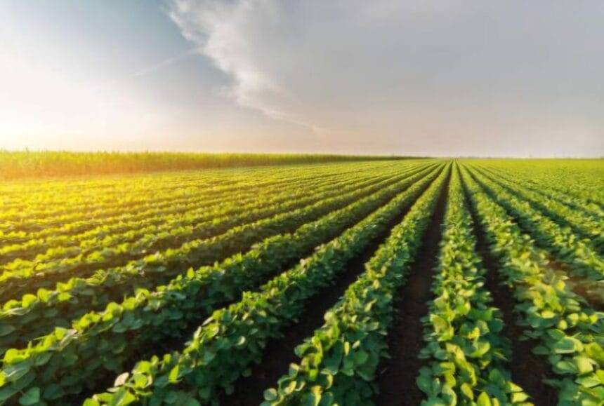 कोलोराडो में पानी और सिंचाई का प्रबंधन एक जटिल समस्या: द प्रोवर्स जर्नल