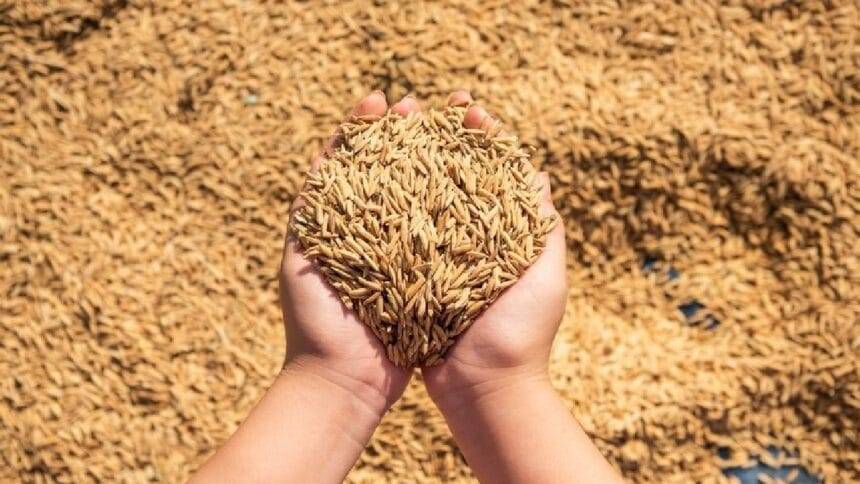 क्रय केंद्र पर परेशानी होने पर किसान कंट्रोल रूम में शिकायत कर सकेंगे.